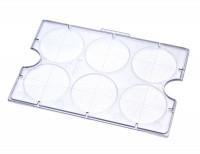 STEMgrid-6 Counting Grid | 製品情報 | ベリタス